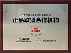 飛頓正品聯盟合作機構